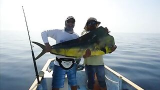 Team 4H2O и дорадо - рыбалка в Мексике у Ла-Пас