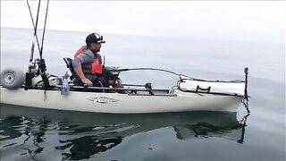 Живой кальмар и yellowtail - морская рыбалка в Калифорнии с каяка