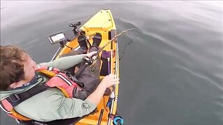 Живой кальмар и yellowtail - морская рыбалка в Калифорнии с каяка