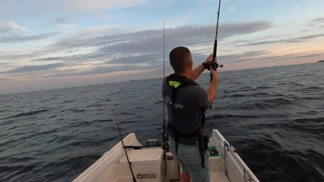 80 lb conger ночью - рыбалка в Англии с лодки у рифа