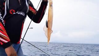 Light jigging у Тиомана - рыбалка в Малайзии при плохой погоде