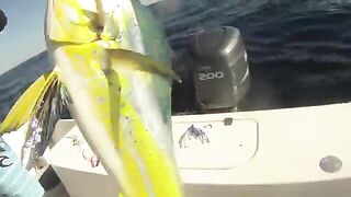 Trade In у Baltimore Canyon - рыбалка в США на 100 fathom line