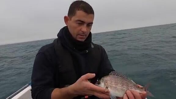 Рыбалка в Англии у Корнуолла: winter black bream, conger rig и ветер