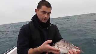 Рыбалка в Англии у Корнуолла: winter black bream, conger rig и ветер