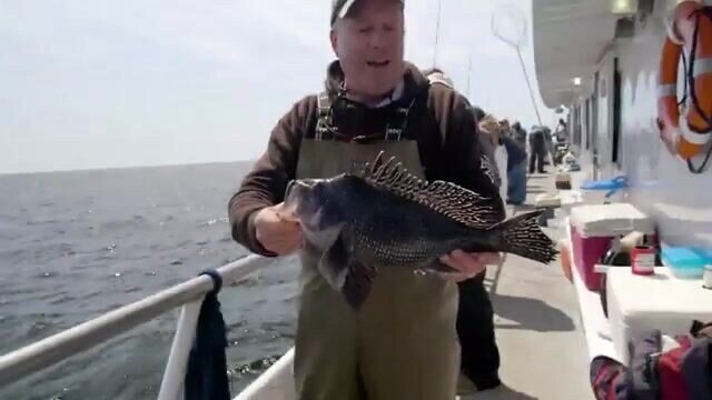 Пять лодок в пяти штатах - рыбалка в США на party boat