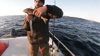 Пикша и выход через косу - рыбалка на Баренцевом море у Териберки