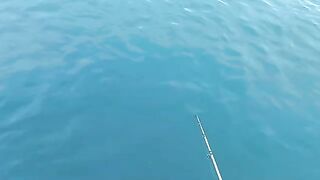 Креветка, качка и рыбалка в Крыму с катера у Алушты