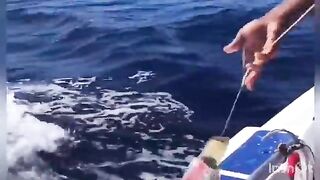 Троллинг у Пунта-Каны с Santa Elena - рыбалка в Атлантическом океане