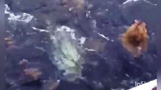 Троллинг у Пунта-Каны с Santa Elena - рыбалка в Атлантическом океане