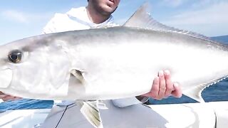 60 миль от Steinhatchee - рыбалка во Флориде на 32' SeaVee