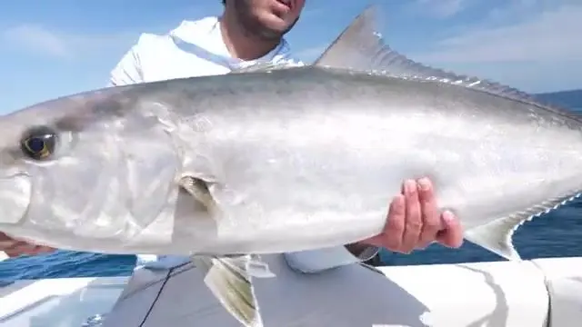 60 миль от Steinhatchee - рыбалка во Флориде на 32' SeaVee