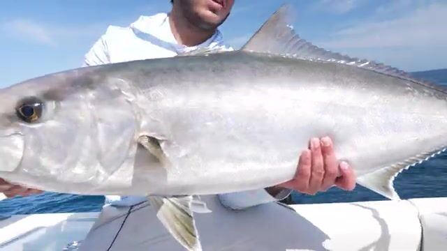 60 миль от Steinhatchee - рыбалка во Флориде на 32' SeaVee