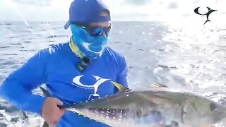 Желтоперый тунец у Плайя-Фламинго - рыбалка в Тихом океане с катера