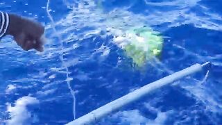 Согнутая палка у Santa Elena - рыбалка в Доминикане на троллинг