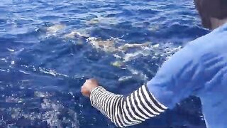 Согнутая палка у Santa Elena - рыбалка в Доминикане на троллинг