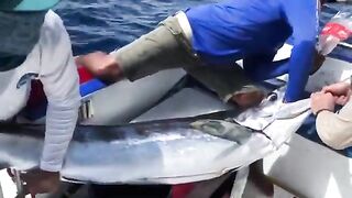 Марлин, фото и релиз у Пунта-Каны - рыбалка на марлина в Доминикане