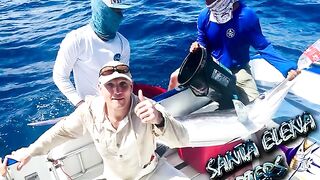 Марлин, фото и релиз у Пунта-Каны - рыбалка на марлина в Доминикане