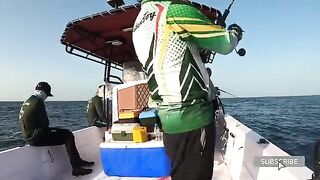 Rainbow Runner на джиг - рыбалка в Омане у Салалы