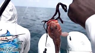 После шторма у Нассау - рыбалка на Багамах с Y Knot