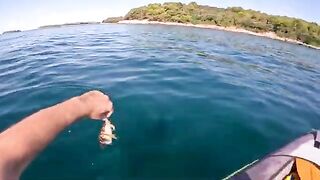 Утренний клев у Ровиня: рыбалка в Хорватии с каяка