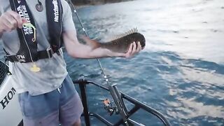 Holy Ship у Aldermen Islands: рыбалка в Новой Зеландии с ночевкой