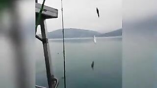 Голый крючок у Кудепсты - морская рыбалка в Кудепсте с яхты