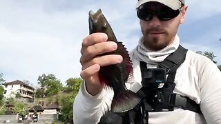 Intex Explorer K2 у северо-востока Бали: морская рыбалка на Бали с каяка