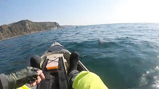 Звездчатая камбала с Angler Pro - рыбалка на камбалу во Владивостоке