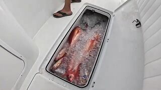 Queen snapper с 37 Freeman - рыбалка в Луизиане с Down the Bayou