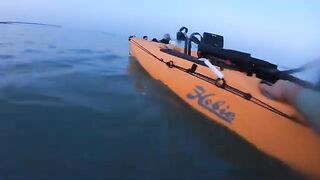 Акула рядом с Hobie Outback - рыбалка во Флориде с каяка