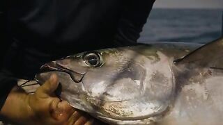 90 миль от Cape Canaveral - рыбалка в Флориде на yellowfin tuna
