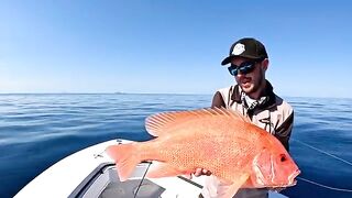 86 см и сломанный спиннинг: рыбалка в Австралии джигом на 55 м