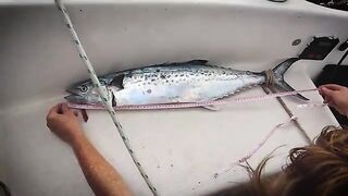 40 морских миль от Lizard Island - морская рыбалка в Австралии на паруснике