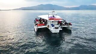 6000-10000 PHP в час - рыбалка в Филиппинах через Subic Fishing