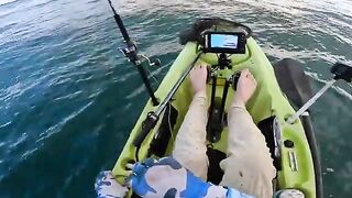 Акулы под снастью и 88F - рыбалка в Флориде на краба с каяка