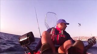 Подсак за спиной и чайка рядом - рыбалка в Красном море у Эйлата