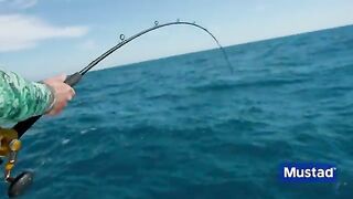 Кобия под креветколовом - рыбалка во Флориде у Ки-Уэста