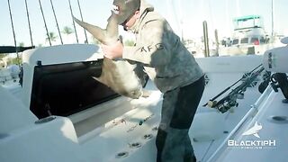 Кобия под креветколовом - рыбалка во Флориде у Ки-Уэста