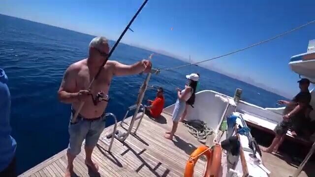 20 долларов, Happy Dolphin и кальмар: рыбалка на Красном море