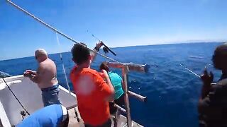 20 долларов, Happy Dolphin и кальмар: рыбалка на Красном море