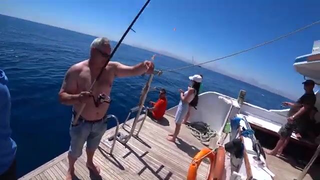 20 долларов, Happy Dolphin и кальмар: рыбалка на Красном море