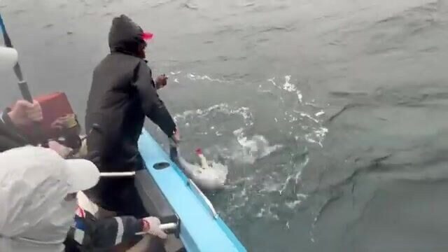 После ливня к маяку за GT - морская рыбалка на Шри-Ланке
