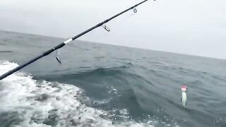 После ливня к маяку за GT - морская рыбалка на Шри-Ланке