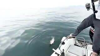 Почти 400 м и электрокатушка: рыбалка на Камчатке в Тихом океане