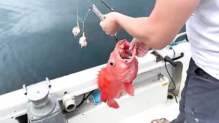 Почти 400 м и электрокатушка: рыбалка на Камчатке в Тихом океане