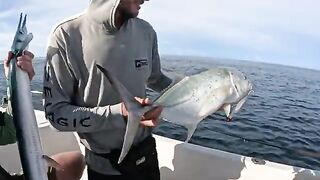 Дельфины рядом, сарган в сумку не лез - рыбалка на Пхукете