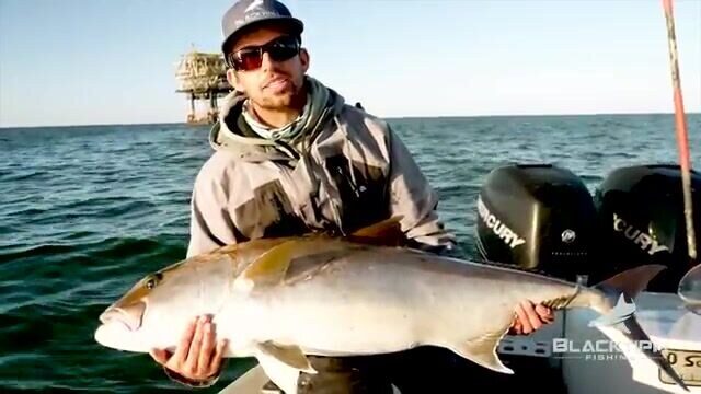 Рыбалка в Луизиане у нефтяных платформ: барракуда первой, amberjack 55-60 lb