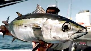 Рыбалка в Луизиане у нефтяных платформ: барракуда первой, amberjack 55-60 lb
