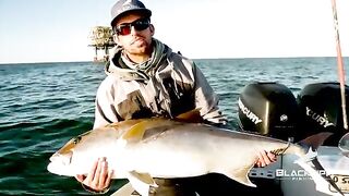 Рыбалка в Луизиане у нефтяных платформ: барракуда первой, amberjack 55-60 lb