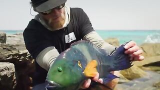 Рыбалка в Омане на мушку по GT: Halanyit Island и Ed Nicholas